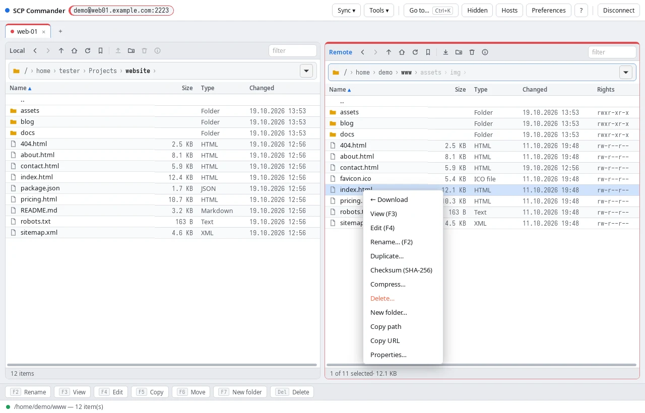 The right-click menu of a file on the server