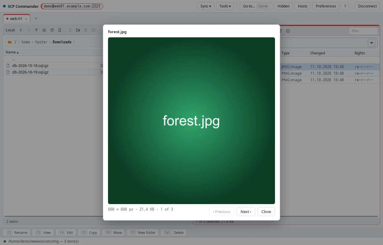The picture viewer showing an image straight from the server